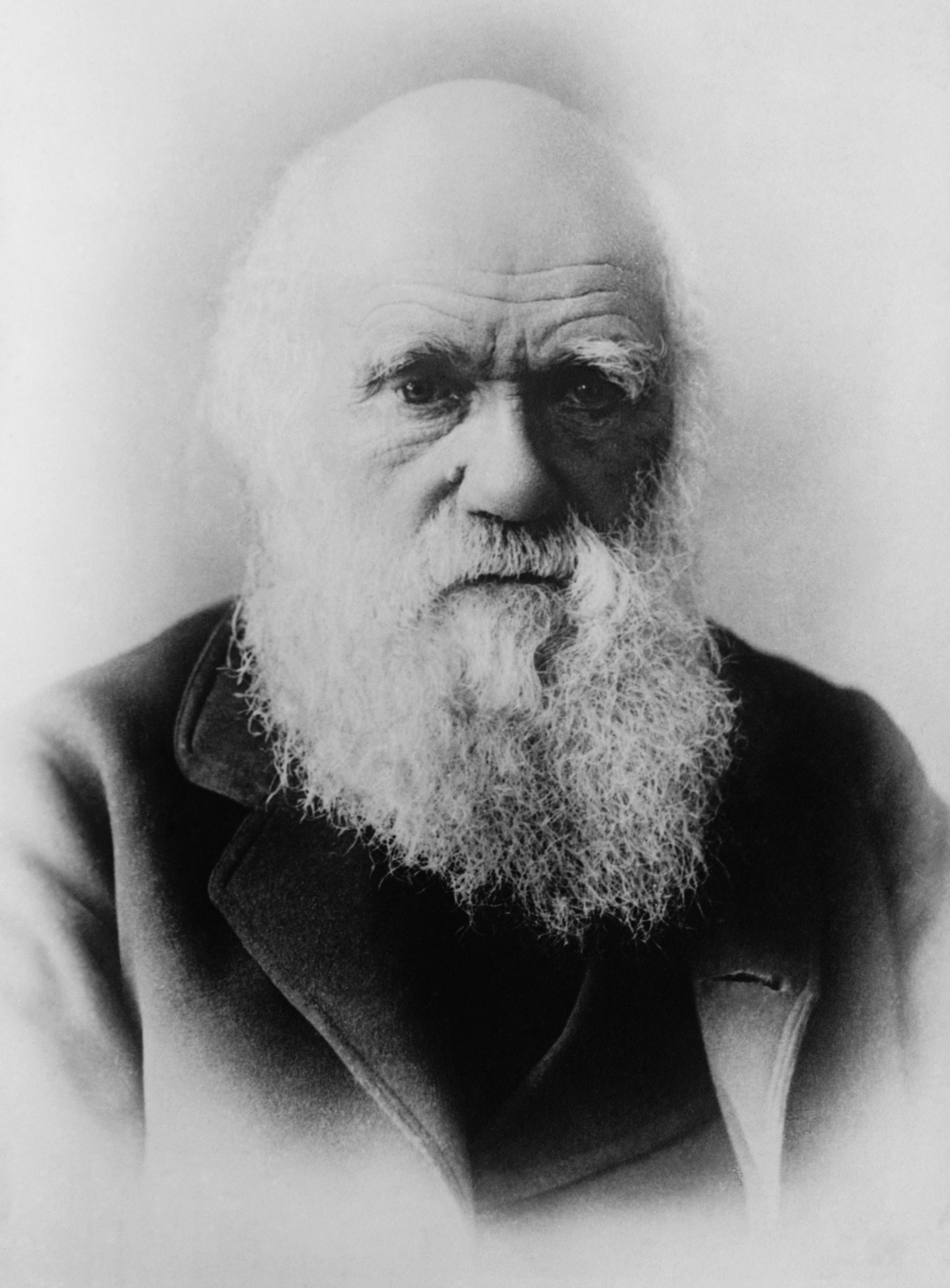 Darwin 1